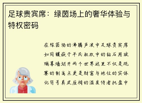 足球贵宾席：绿茵场上的奢华体验与特权密码
